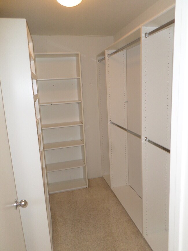 Building Photo - Really Cute 3 BR/ 2.5 BA Home in Beautiful Paseo Del Sol