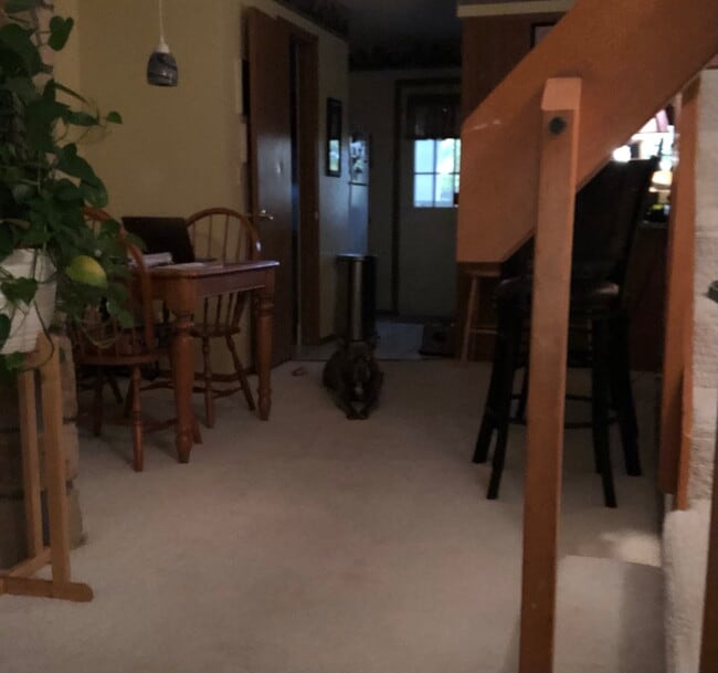 Dining area to backdoor - 8185 S Fillmore Cir