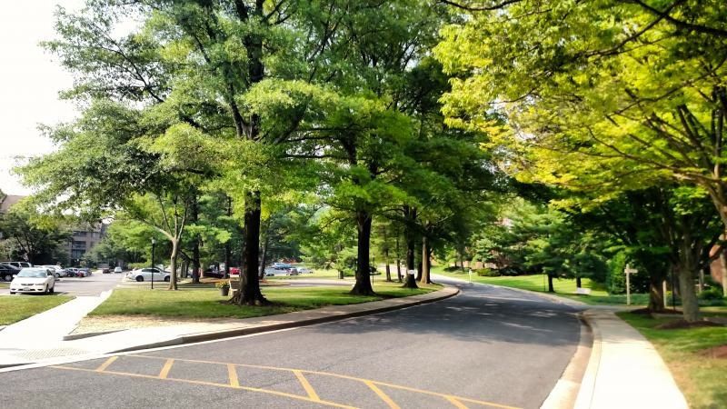 Tree Lined Community - 11305 Commonwealth Dr