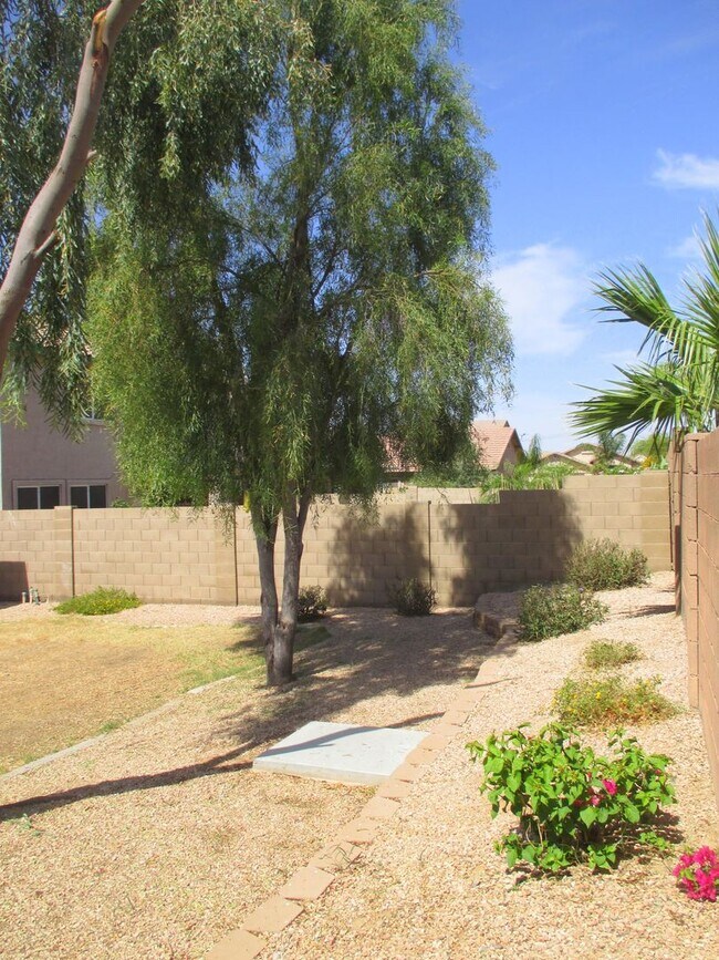 Building Photo - New Listing in Buckeye