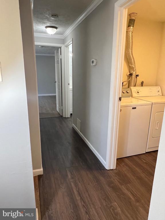 Building Photo - 12209 Peach Crest Dr