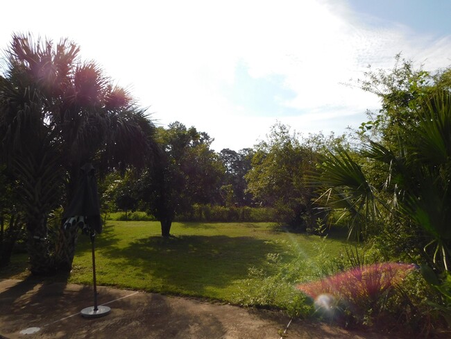 Building Photo - Gorgeous Rustic Home in Alachua!