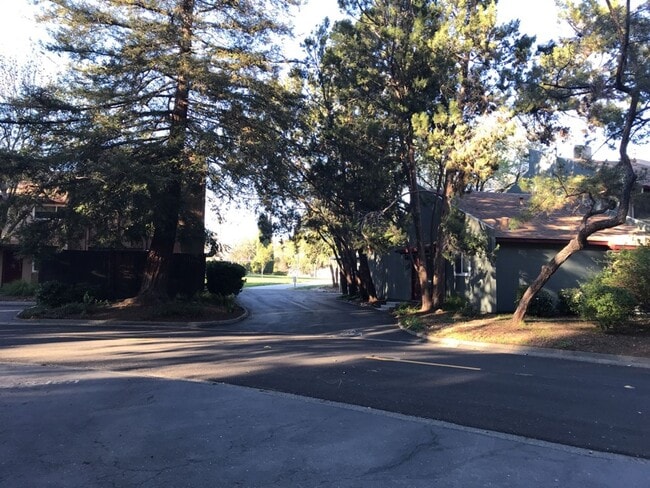Building Photo - Great 2 bed 1 bath condo available for fall move in!