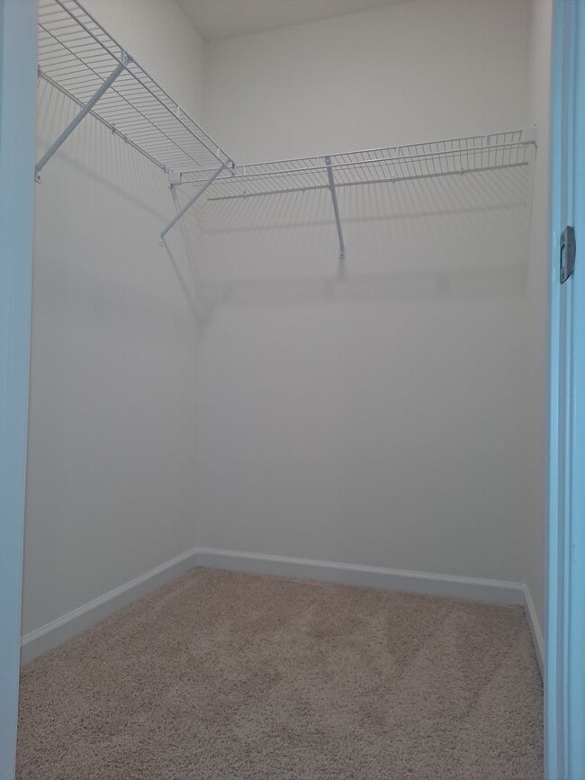 Building Photo - 144 Ibis Loop