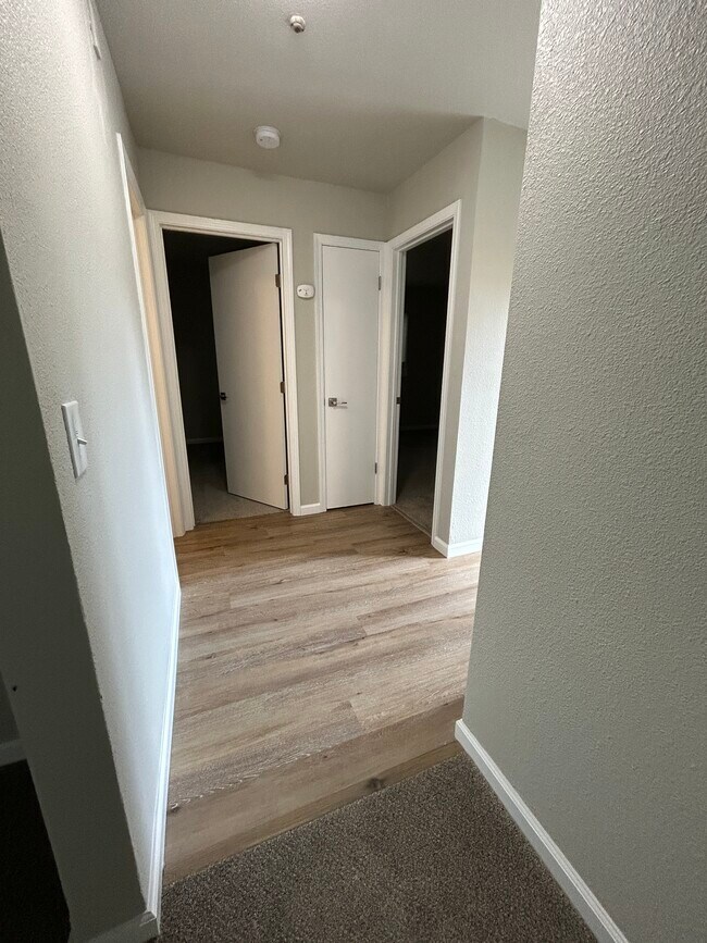 New luxury vinyl plank - 2829 Apple Valley Ln