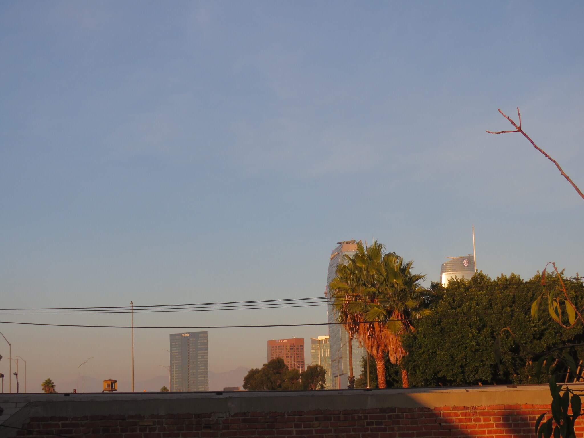 DTLA View - 1924 Park Grove Ave