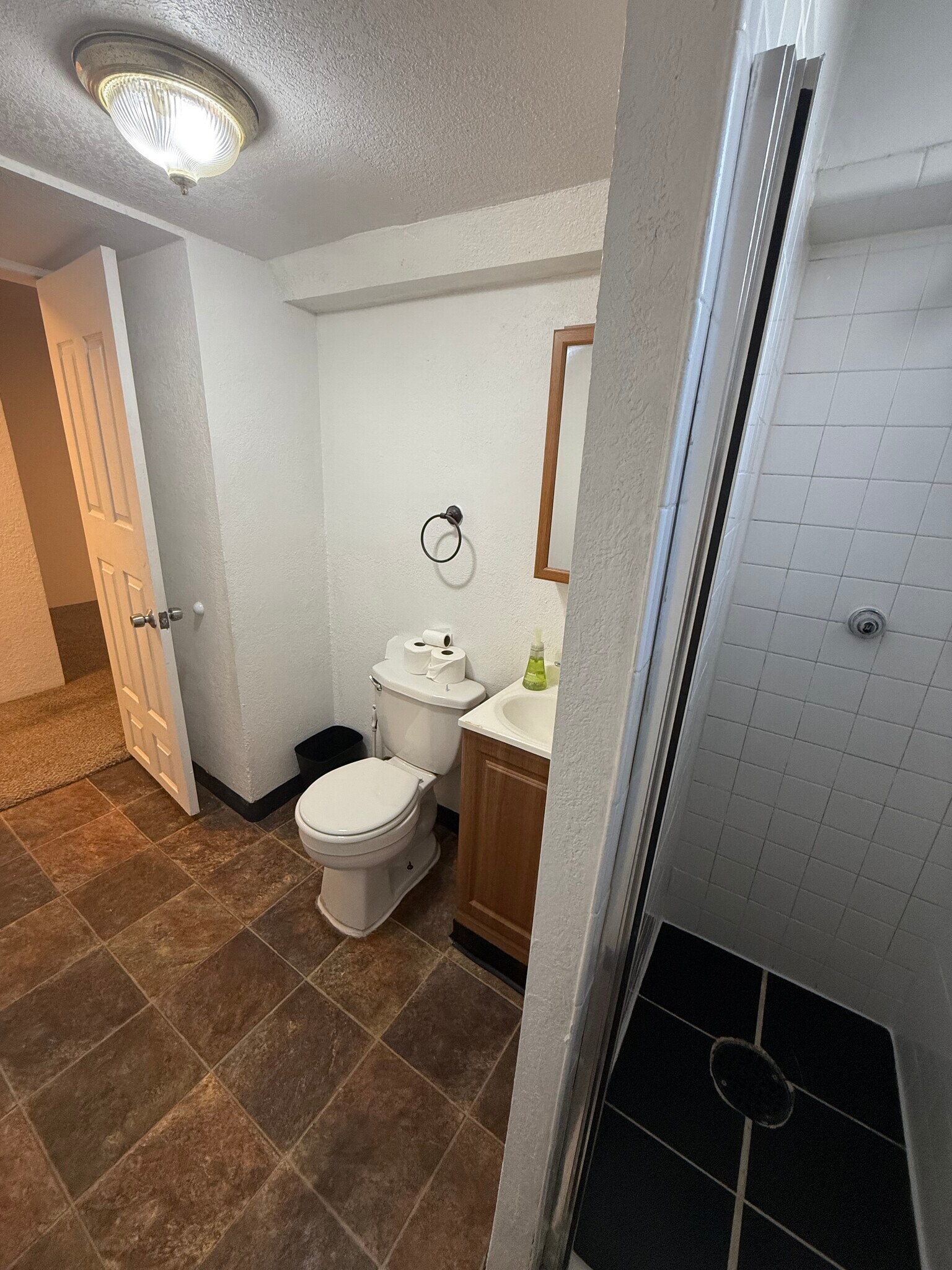 Downstairs bathroom2 - 42 Alcott St