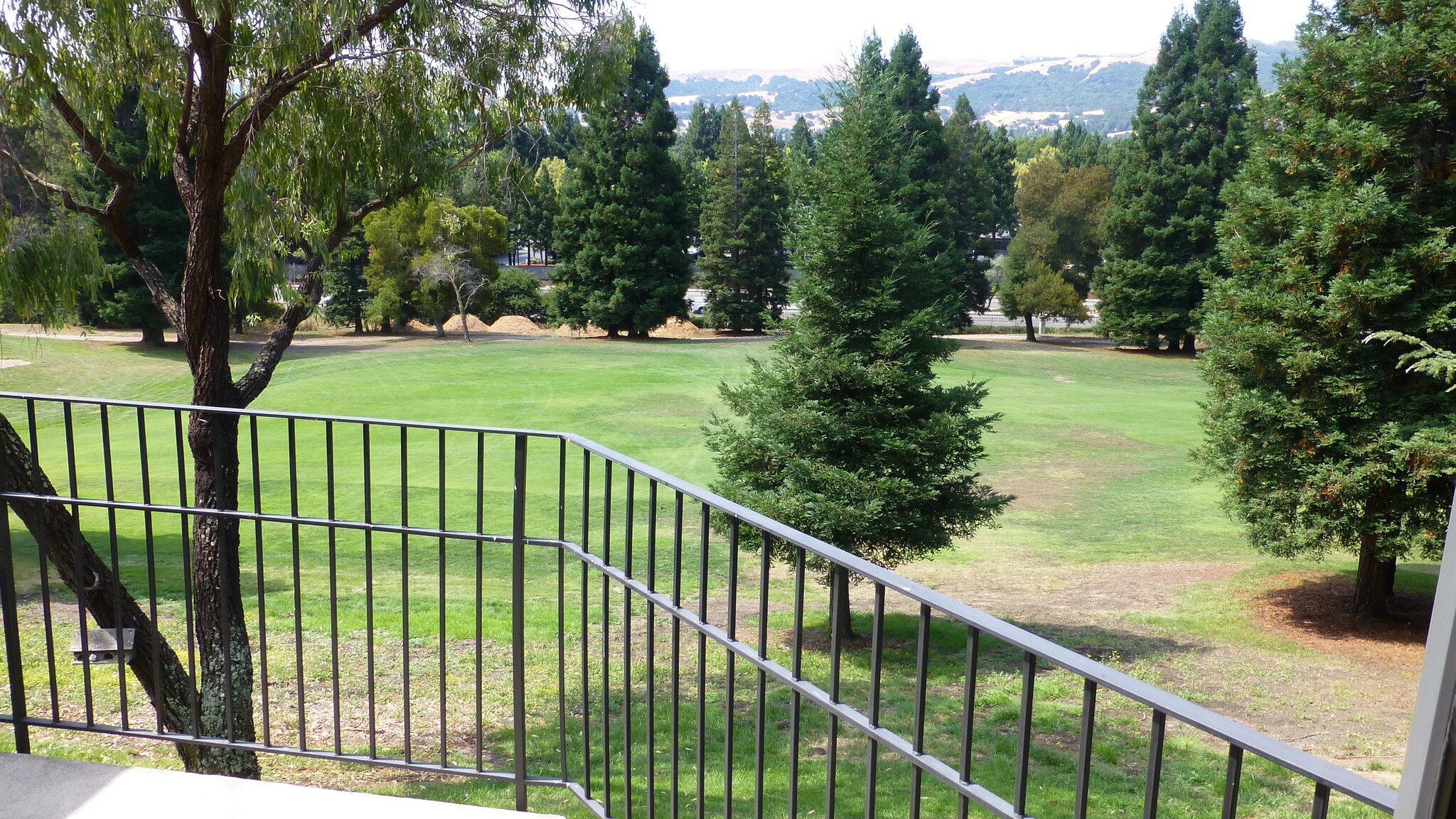 View from patio - 206 Canyon Woods Way