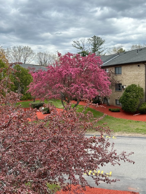 Building Photo - 1 Lancelot Court