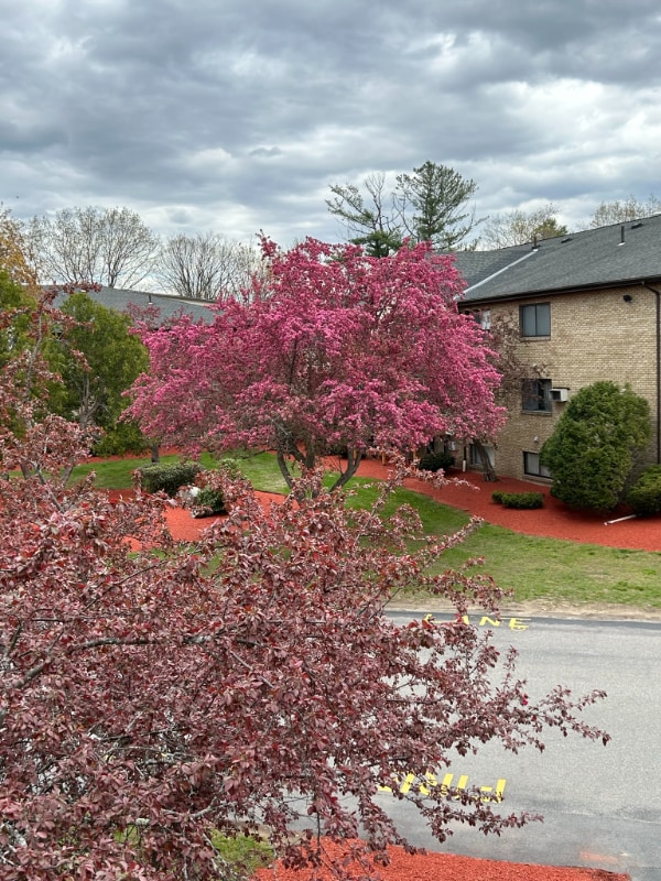 Building Photo - 1 Lancelot Court