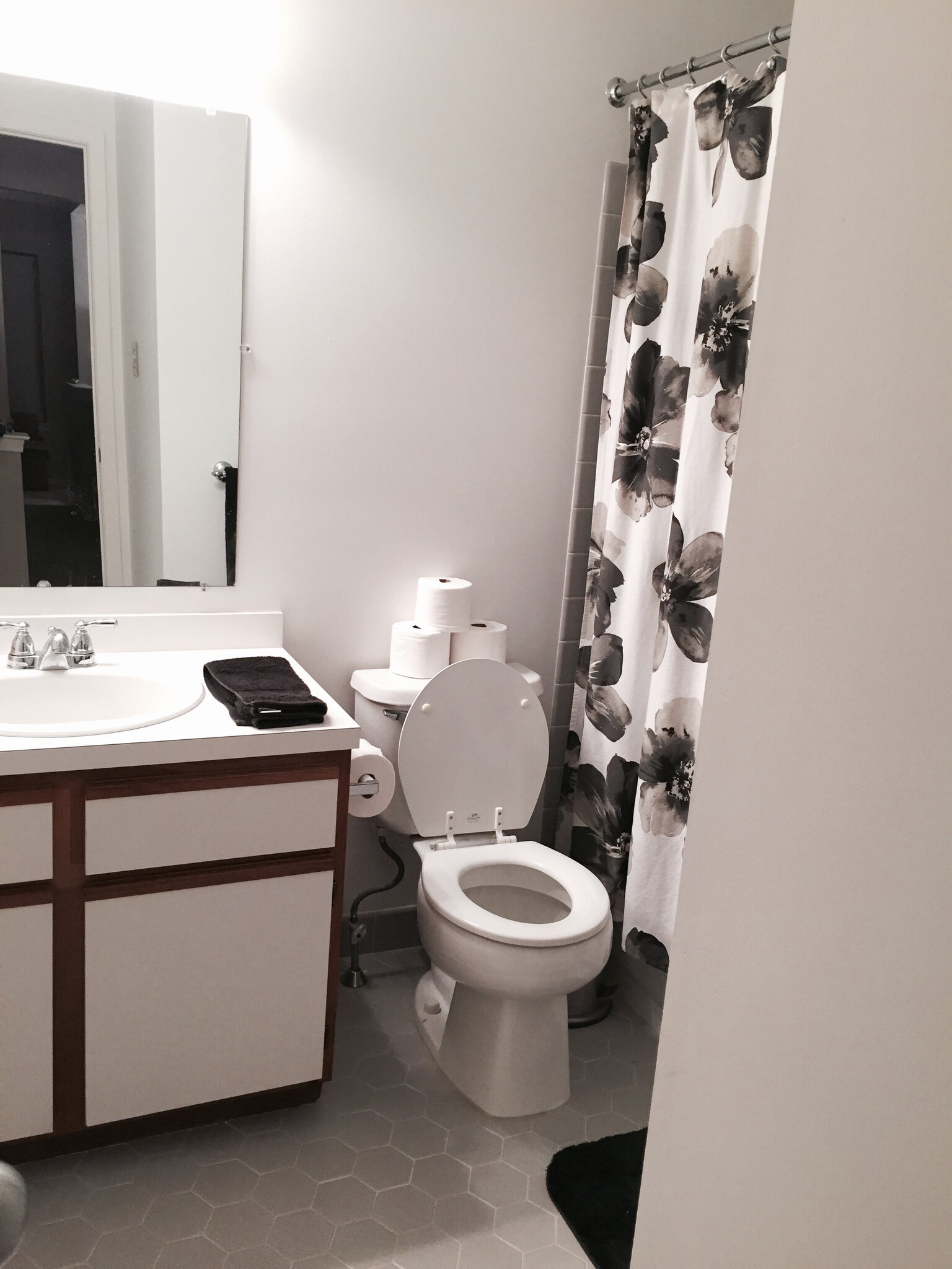 Spare Bathroom - 2016 Foxmeadow Dr