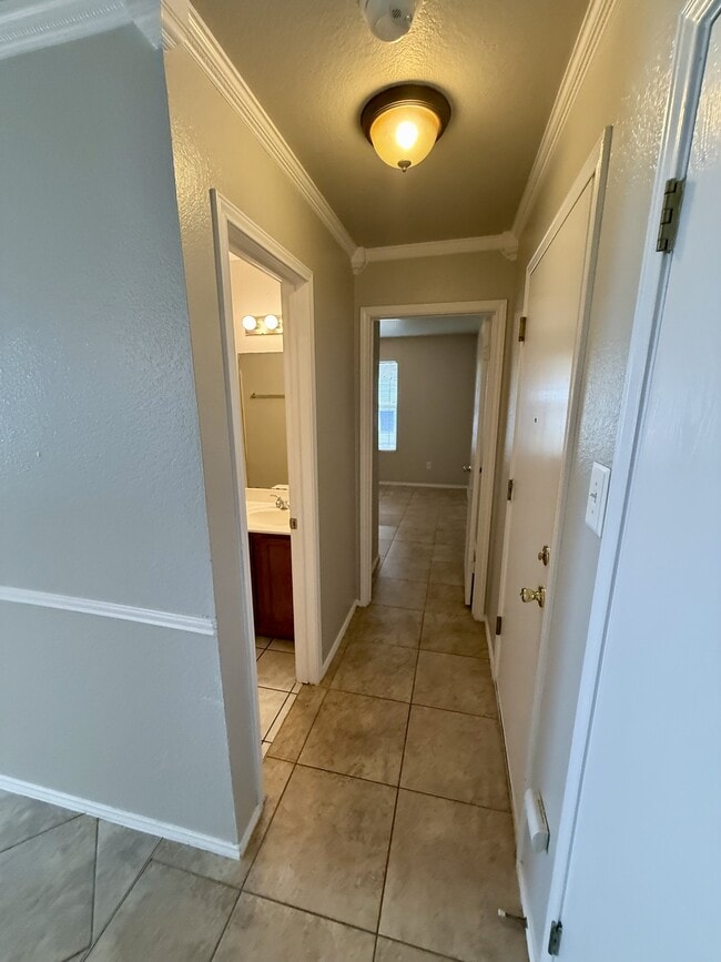 Building Photo - 3504 Banda Ln