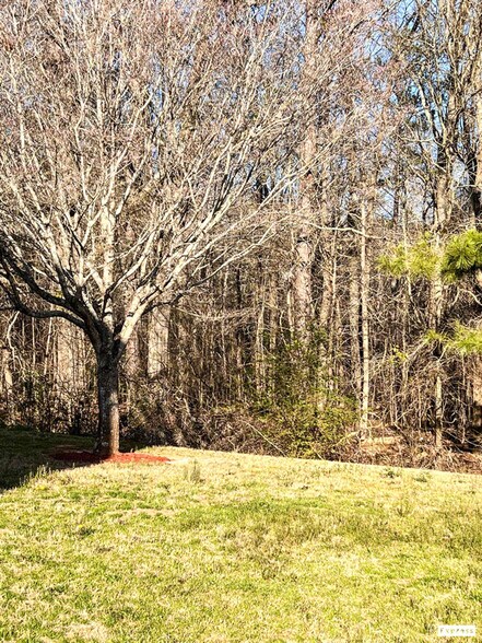 Building Photo - 5335 Yellow Pine Dr