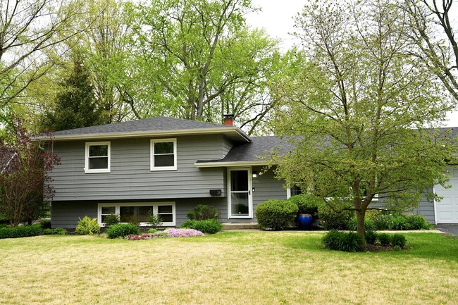 Building Photo - 211 Sandalwood Dr