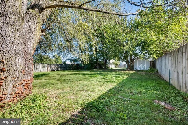 Building Photo - 915 Cambridge Ave