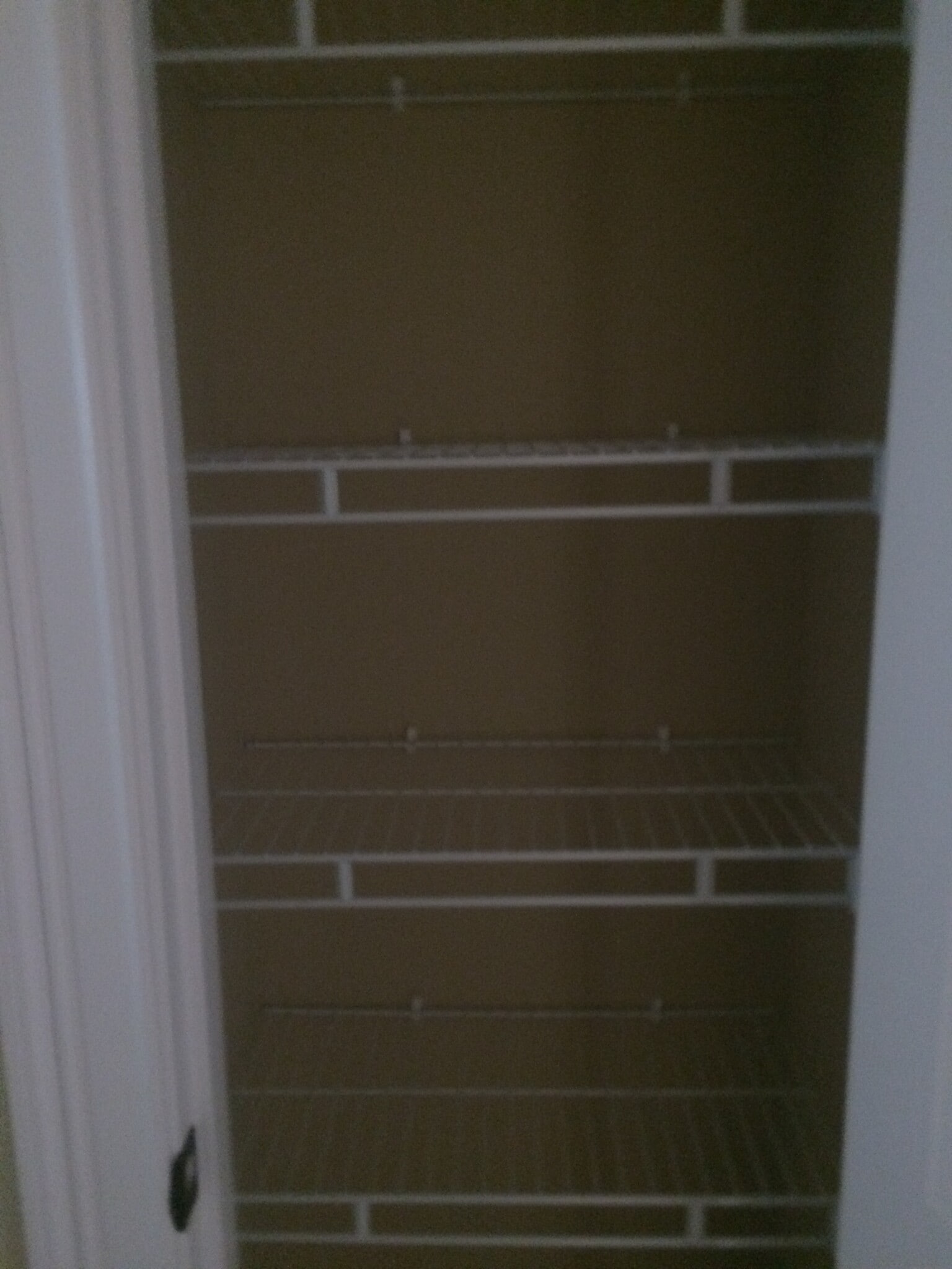 Partial view of large pantry - 319 Haywood Dr