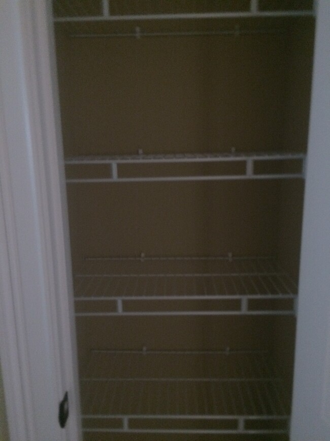 Partial view of large pantry - 319 Haywood Dr