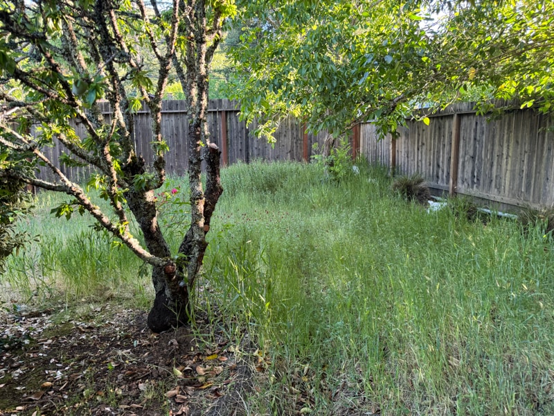 Building Photo - 6545 Birch Dr