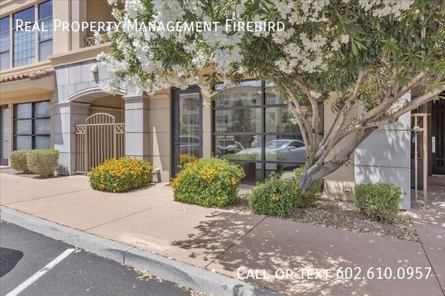 Building Photo - 7297 N Scottsdale Rd