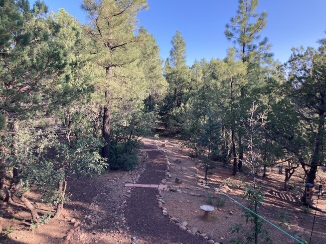 Building Photo - 3239 Pine Needle Dr