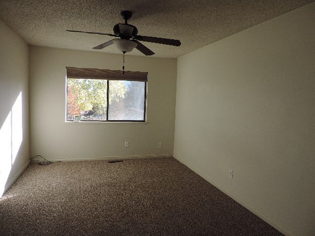 Building Photo - 3375 Bowie Rd