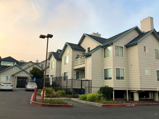 Building Photo - Ideal Location. .. Walk to Bart, Costco, Starbucks, Trader Joes, Kaiser Hospital