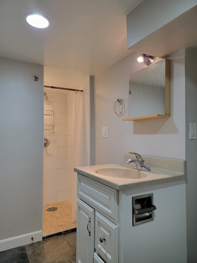 Shower - 310 Lewis St S