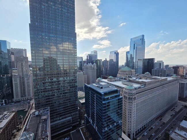 Building Photo - 400 N La Salle Dr