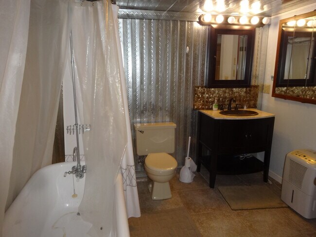basement bathroom - 48 Sherman Pl