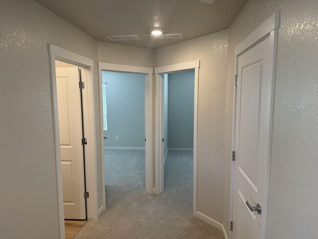 Building Photo - Stunning Brand New Home Close To Lowry & DIA