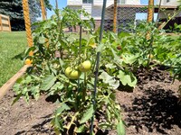 Building Photo - 8848 W Jewell Ave