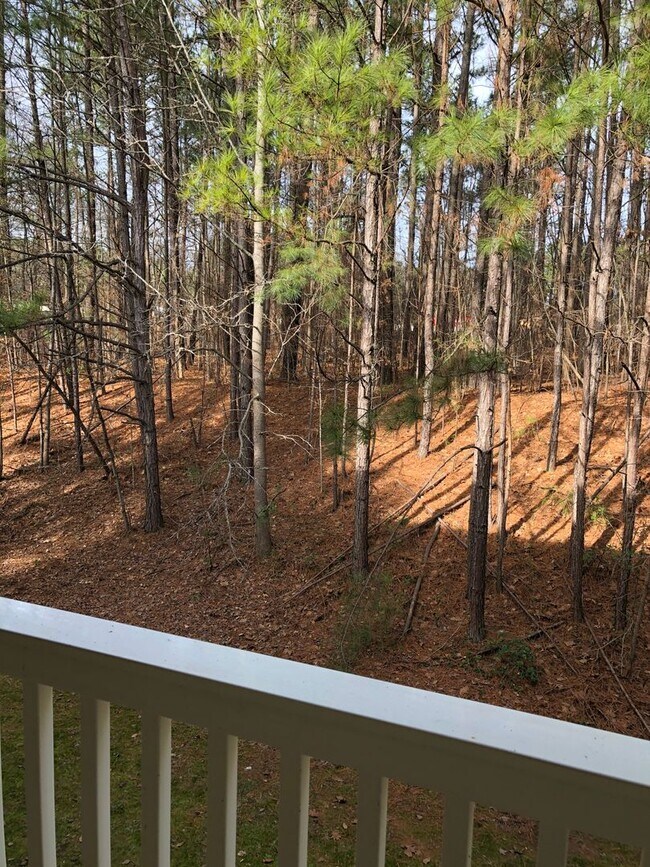 Building Photo - 2950 Trailwood Pines Ln
