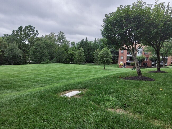 Building Photo - Two Bedroom/ Two Bath Condo at Falls Garde...