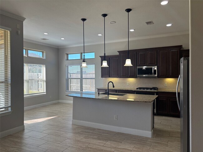 Building Photo - 20411 Bristol Bluff Ln