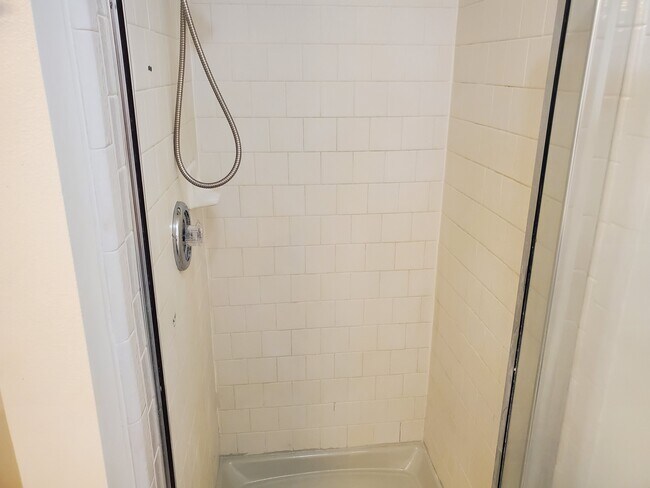 Master shower - 10838 Cliffton Forge Dr