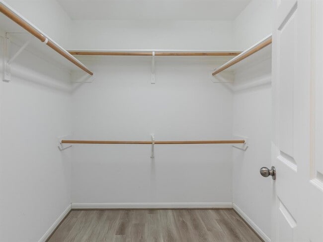 Building Photo - 51 N Regan Mead Cir