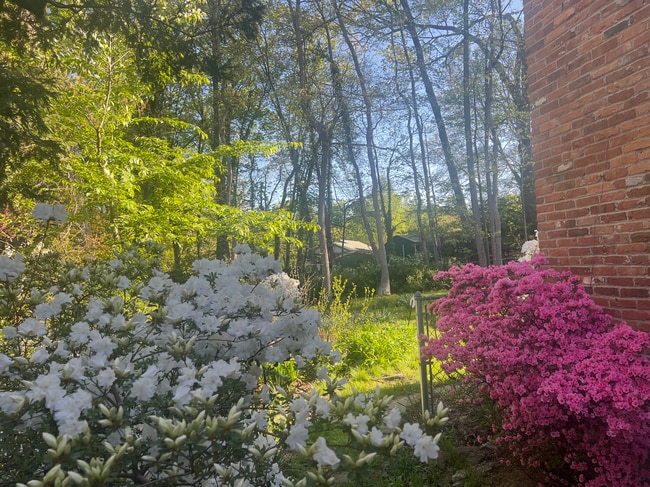 Building Photo - 6711 Park Hall Dr