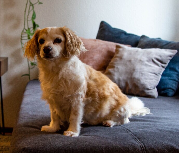 Building Photo - 6647 N Astor St