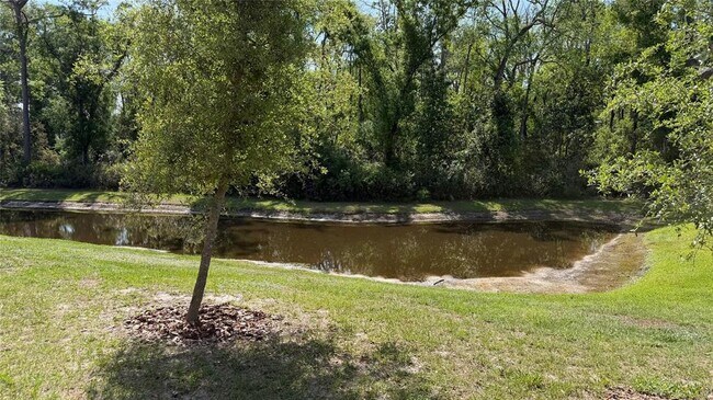 Building Photo - 17608 Nectar Flume Dr