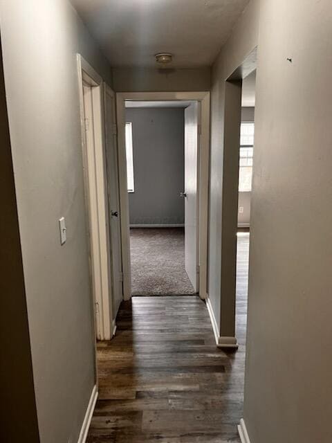 Building Photo - 808 Riverview Dr