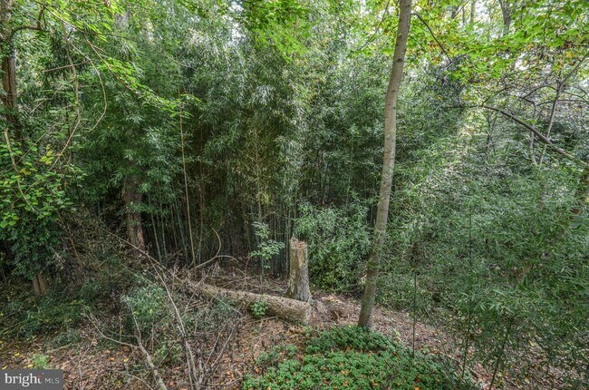 Building Photo - 7212 Grubby Thicket Way