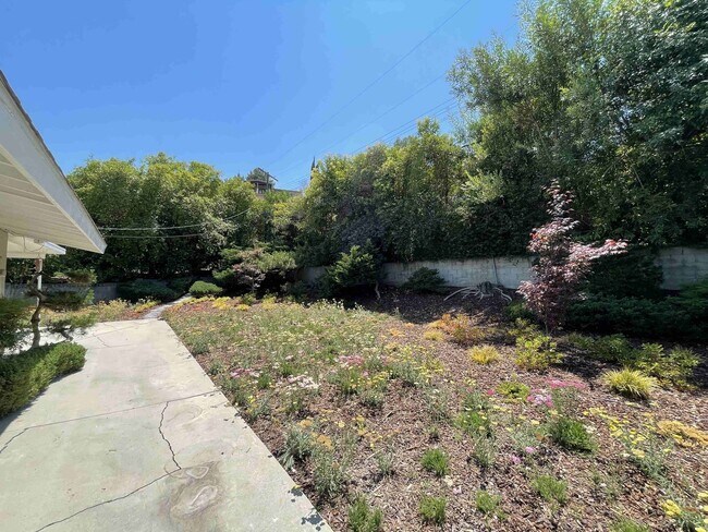 Building Photo - SOUTH OF THE BLVD. HOME IN WOODLAND HILLS!