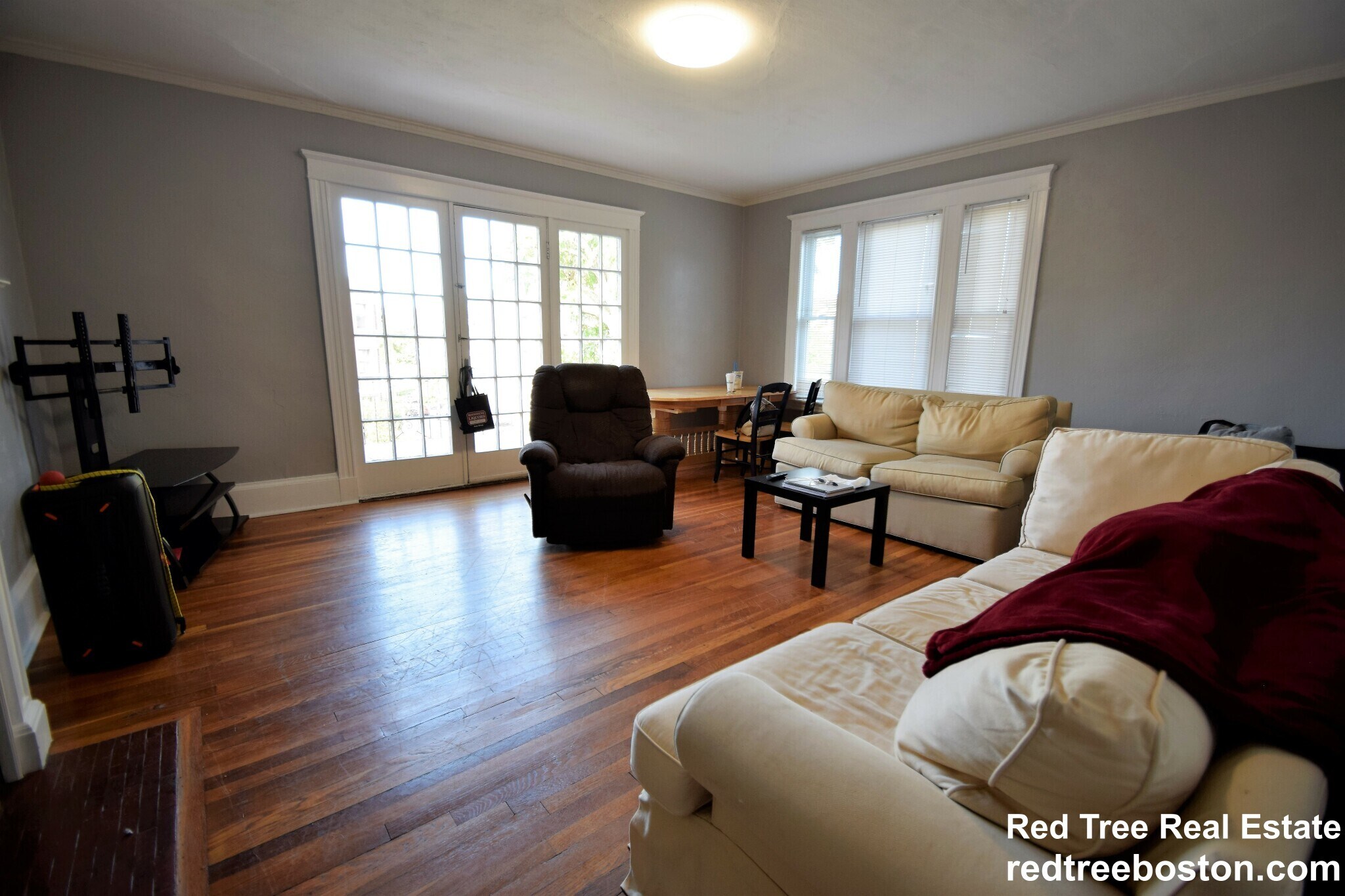 Building Photo - 229 Chestnut Hill Ave