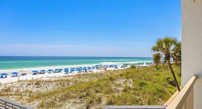 Building Photo - 556 Coral Ct