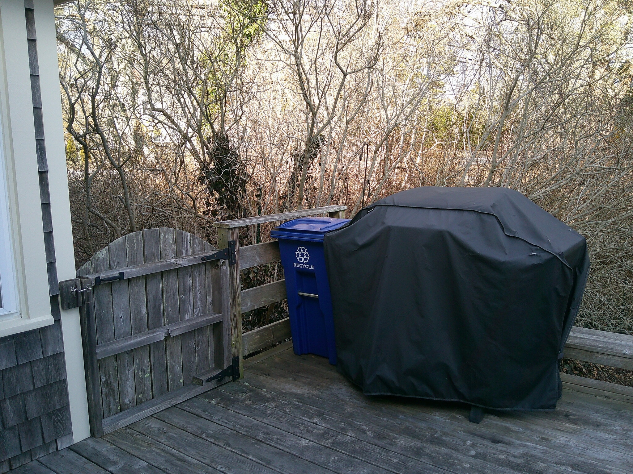 Gas Grill / Recycling & Garbage - 41 Chatham Rd