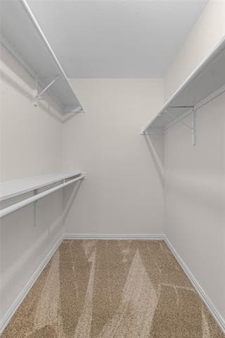 Building Photo - 2092 Colt Ct