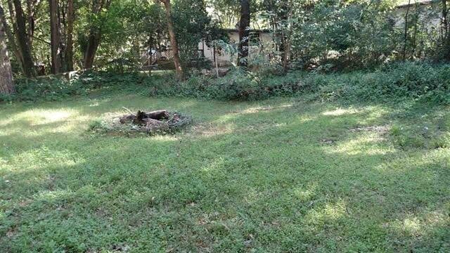 Building Photo - 3 Bed house on Sharkey St! Available August 2026!