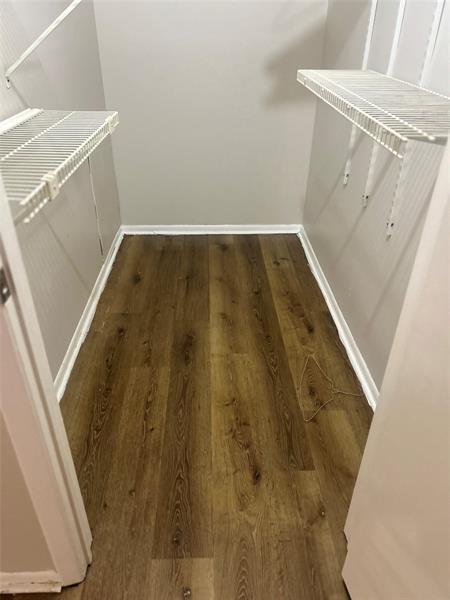 Building Photo - 4024 Dream Oak Pl