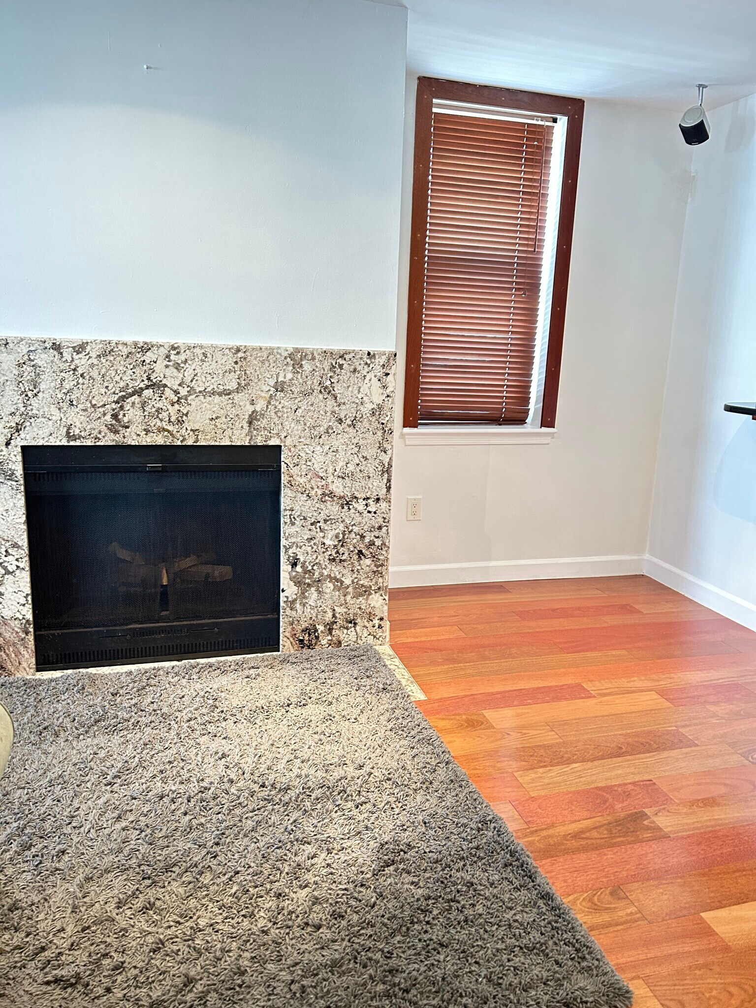 Living Rm - Fireplace - 118 Bates St NW