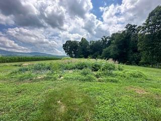 Building Photo - 3751 Waidsboro Rd